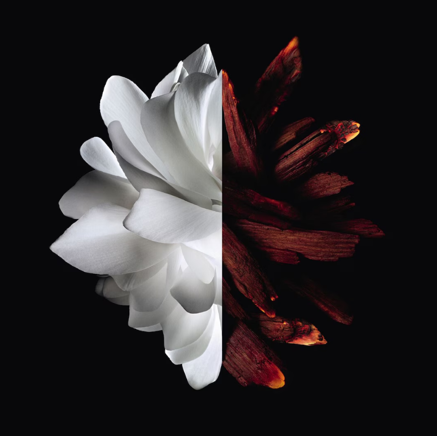 L'Interdit Eau de Parfum Rouge