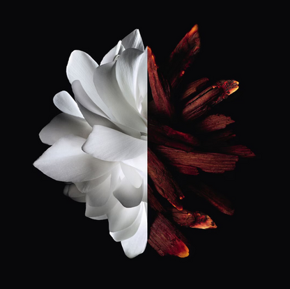 L'Interdit Eau de Parfum Rouge